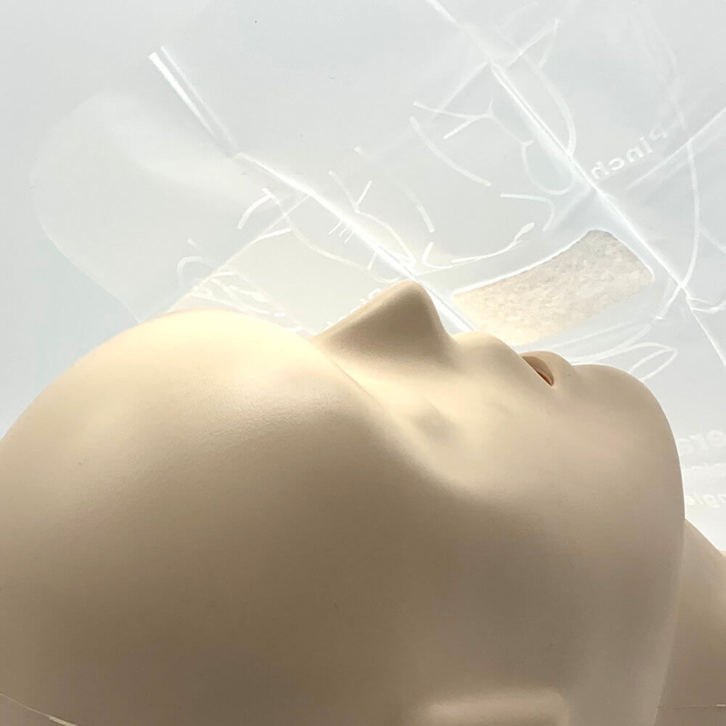 Box of 200 CPR Practi-Shields, WNL