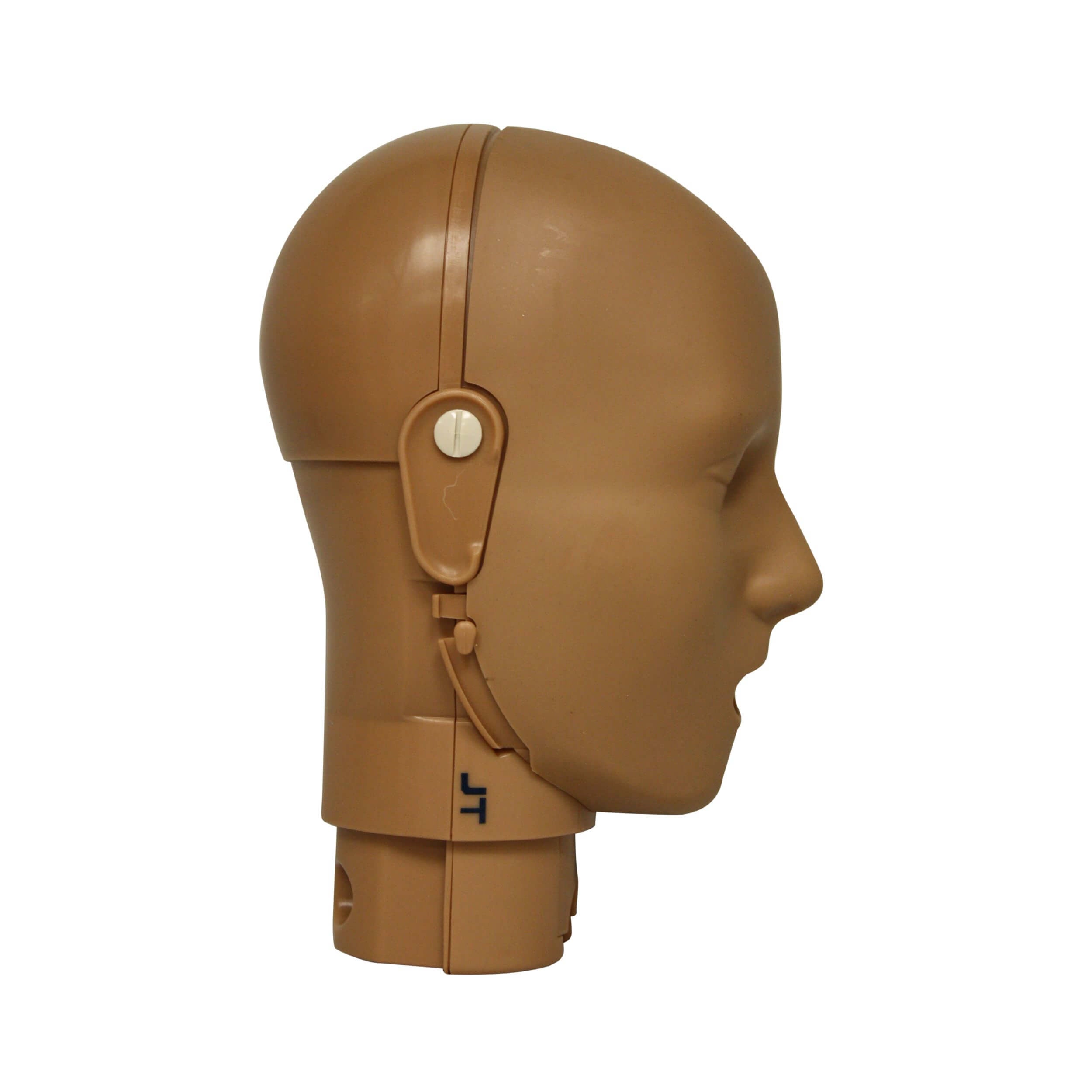 PRESTAN-Professional-Adult dark tone close up jaw thrust manikin head 