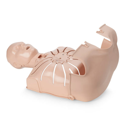 PRESTAN-Ultralite Medium tone adult manikin-open chest view 